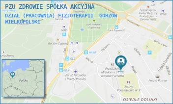 DZIAŁ (PRACOWNIA) FIZJOTERAPII - PZU ZDROWIE SPÓŁKA AKCYJNA - UL. NOWA 5,  GORZÓW WIELKOPOLSKI