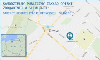 GABINET REHABILITACJI MEDYCZNEJ - SAMODZIELNY PUBLICZNY ZAKŁAD OPIEKI ZDROWOTNEJ W ŚLIWICACH - SZKOLNA 7,  ŚLIWICE