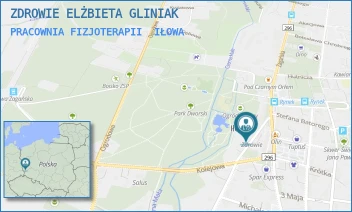 PRACOWNIA FIZJOTERAPII - ZDROWIE ELŻBIETA GLINIAK - UL. SURZYNA 5,  IŁOWA