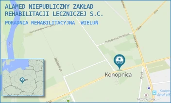PORADNIA REHABILITACYJNA - ALAMED NIEPUBLICZNY ZAKŁAD REHABILITACJI LECZNICZEJ S.C. - UL. SZKOLNA 6,  WIELUŃ