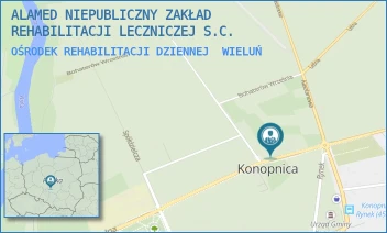 OŚRODEK REHABILITACJI DZIENNEJ - ALAMED NIEPUBLICZNY ZAKŁAD REHABILITACJI LECZNICZEJ S.C. - UL. SZKOLNA 6,  WIELUŃ