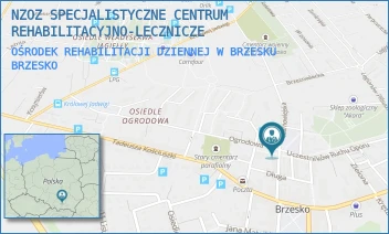 OŚRODEK REHABILITACJI DZIENNEJ W BRZESKU - NZOZ SPECJALISTYCZNE CENTRUM REHABILITACYJNO-LECZNICZE - PL. KAZIMIERZA WIELKIEGO 3,  BRZESKO
