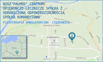 FIZJOTERAPIA AMBULATORYJNA - NZOZ"PALMED" CENTRUM OPIEKUŃCZO-LECZNICZE SPÓŁKA Z OGRANICZONĄ ODPOWIEDZIALNOŚCIĄ SPÓŁKA KOMANDYTOWA - UL. ZDROWA 1,  CIĘŻKOWICE