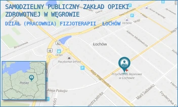 DZIAŁ (PRACOWNIA) FIZJOTERAPII - SAMODZIELNY PUBLICZNY ZAKŁAD OPIEKI ZDROWOTNEJ W WĘGROWIE - ALEJA POKOJU 73,  ŁOCHÓW