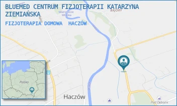 FIZJOTERAPIA DOMOWA - BLUEMED CENTRUM FIZJOTERAPII KATARZYNA ZIEMIAŃSKA - HACZÓW 84A,  HACZÓW