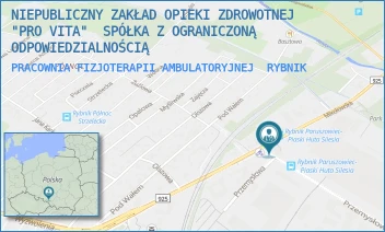 PRACOWNIA FIZJOTERAPII AMBULATORYJNEJ - NIEPUBLICZNY ZAKŁAD OPIEKI ZDROWOTNEJ "PRO VITA"  SPÓŁKA Z OGRANICZONĄ ODPOWIEDZIALNOŚCIĄ - MIKOŁOWSKA 94,  RYBNIK