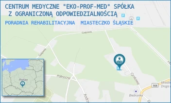 PORADNIA REHABILITACYJNA - CENTRUM MEDYCZNE "EKO-PROF-MED" SPÓŁKA  Z OGRANICZONĄ ODPOWIEDZIALNOŚCIĄ - UL. CYNKOWA 6,  MIASTECZKO ŚLĄSKIE
