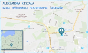 DZIAŁ (PRACOWNIA) FIZJOTERAPII - ALEKSANDRA KISIAŁA - UL. 1 MAJA 10,  GOLESZÓW