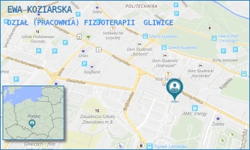 DZIAŁ (PRACOWNIA) FIZJOTERAPII - EWA KOZIARSKA - PSZCZYŃSKA 100,  GLIWICE
