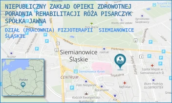 DZIAŁ (PRACOWNIA) FIZJOTERAPII - NIEPUBLICZNY ZAKŁAD OPIEKI ZDROWOTNEJ PORADNIA REHABILITACJI RÓŻA PISARCZYK SPÓŁKA JAWNA - UL. JANA PAWŁA II 1,  SIEMIANOWICE ŚLĄSKIE