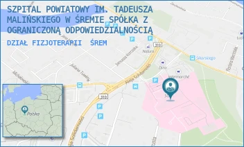 DZIAŁ FIZJOTERAPII - SZPITAL POWIATOWY IM. TADEUSZA MALIŃSKIEGO W ŚREMIE SPÓŁKA Z OGRANICZONĄ ODPOWIEDZIALNOŚCIĄ - CHEŁMOŃSKIEGO 1,  ŚREM