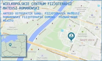 ANTEEO OSTEOPATIA & FIZJOTERAPIA MATEUSZ ROMANOWSKI FIZJOTERAPIA DOMOWA - WIELKOPOLSKIE CENTRUM FIZJOTERAPII MATEUSZ ROMANOWSKI - SERAFITEK 11,  POZNAŃ-NOWE MIASTO