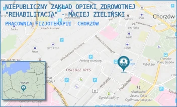 PRACOWNIA FIZJOTERAPII - NIEPUBLICZNY ZAKŁAD OPIEKI ZDROWOTNEJ "REHABILITACJA" - MACIEJ ZIELIŃSKI - UL. ZJEDNOCZENIA 3,  CHORZÓW