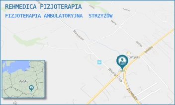 FIZJOTERAPIA AMBULATORYJNA - REHMEDICA FIZJOTERAPIA - UL. W. WITOSA 10,  STRZYŻÓW